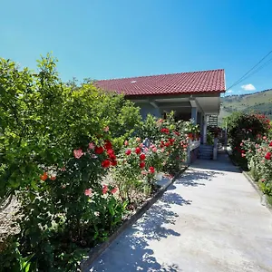 https://vacation-home-samuela.albaniahotels.org